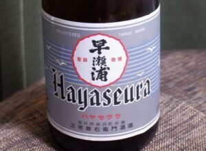 早瀬浦 特別純米酒 涼み酒【福井】