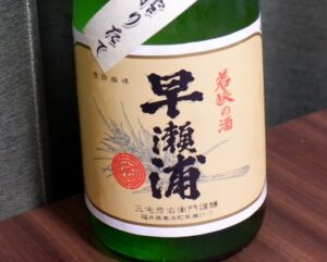 早瀬浦 盛夏の搾りたて 山廃純米酒 生原酒【福井】