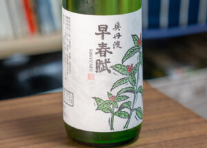 奥丹波 早春賦 五百万石【兵庫】