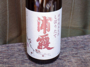 浦霞 しぼりたて特別純米生酒【宮城】