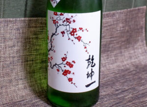 乾坤一 純米吟醸 吟のいろは【宮城】