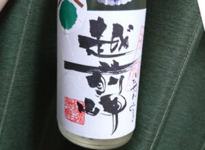 越前岬 槽搾り純米吟醸無濾過生2019BY初槽【福井】